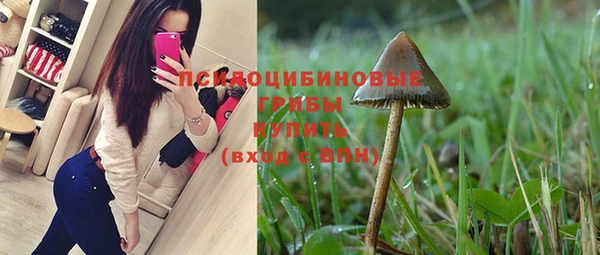 ешки Коряжма